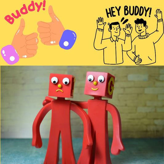 TCWC Buddy human presence service