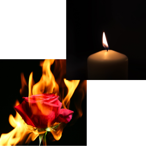 Grief & Break-Up Support: €40/hour