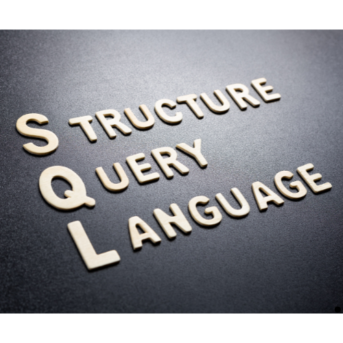 Language Practice: French - Dutch language: €20/session