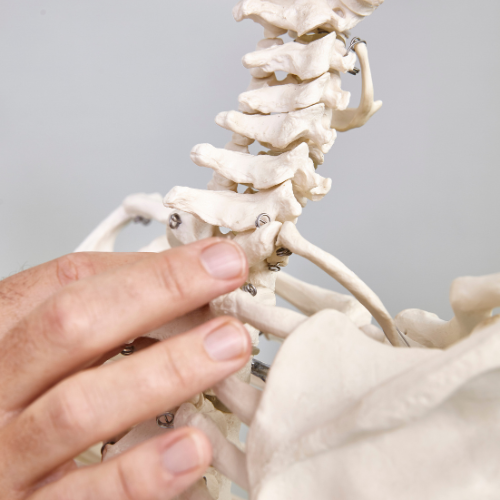 Stress-Reducing Massage and Physiotherapy: from €50/hour