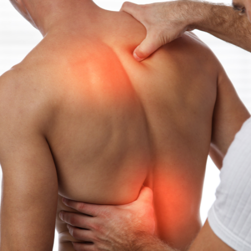 Stress-Reducing Massage and Physiotherapy: from €50/hour
